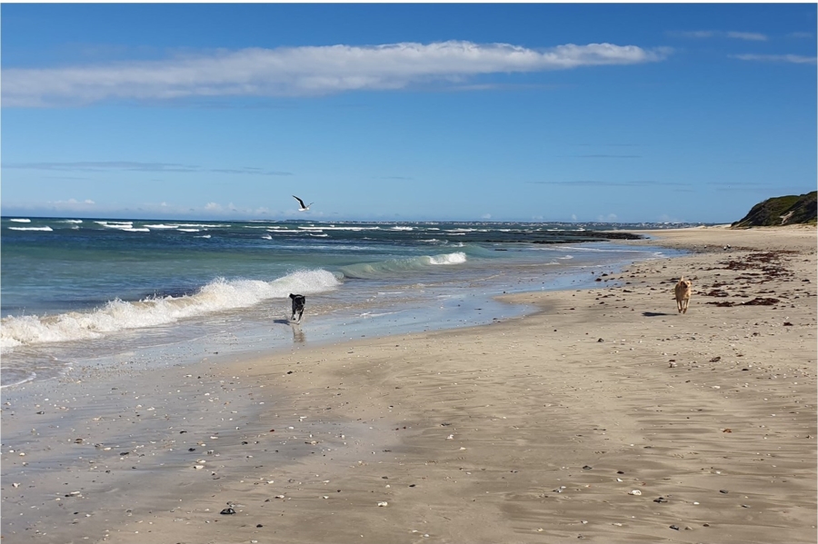0 Bedroom Property for Sale in Paradise Beach Eastern Cape